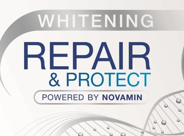 Repair And Protect